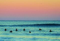 Ocean Ownership