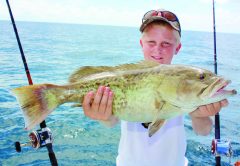 Gag Grouper