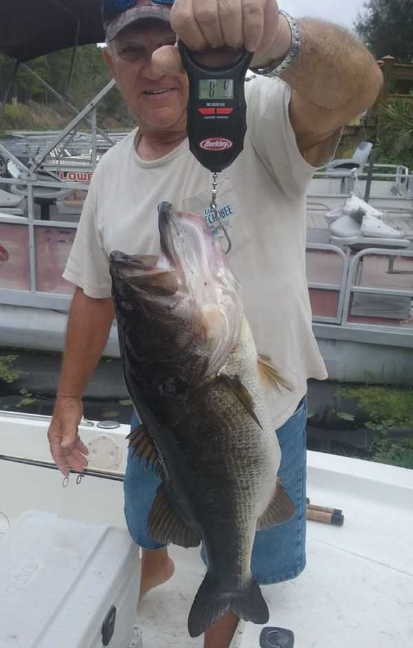 Steve Hartshorn, 8.625 lbs, lake Josephine