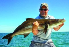 Chasing Channel Marker Cobia