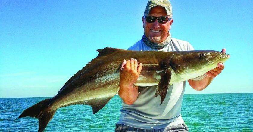 Chasing Channel Marker Cobia