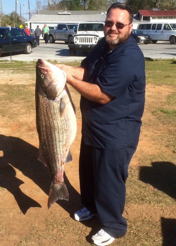 Striped bass Coastal Angler & The Angler Magazine