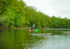 Paddle And Fish Safely