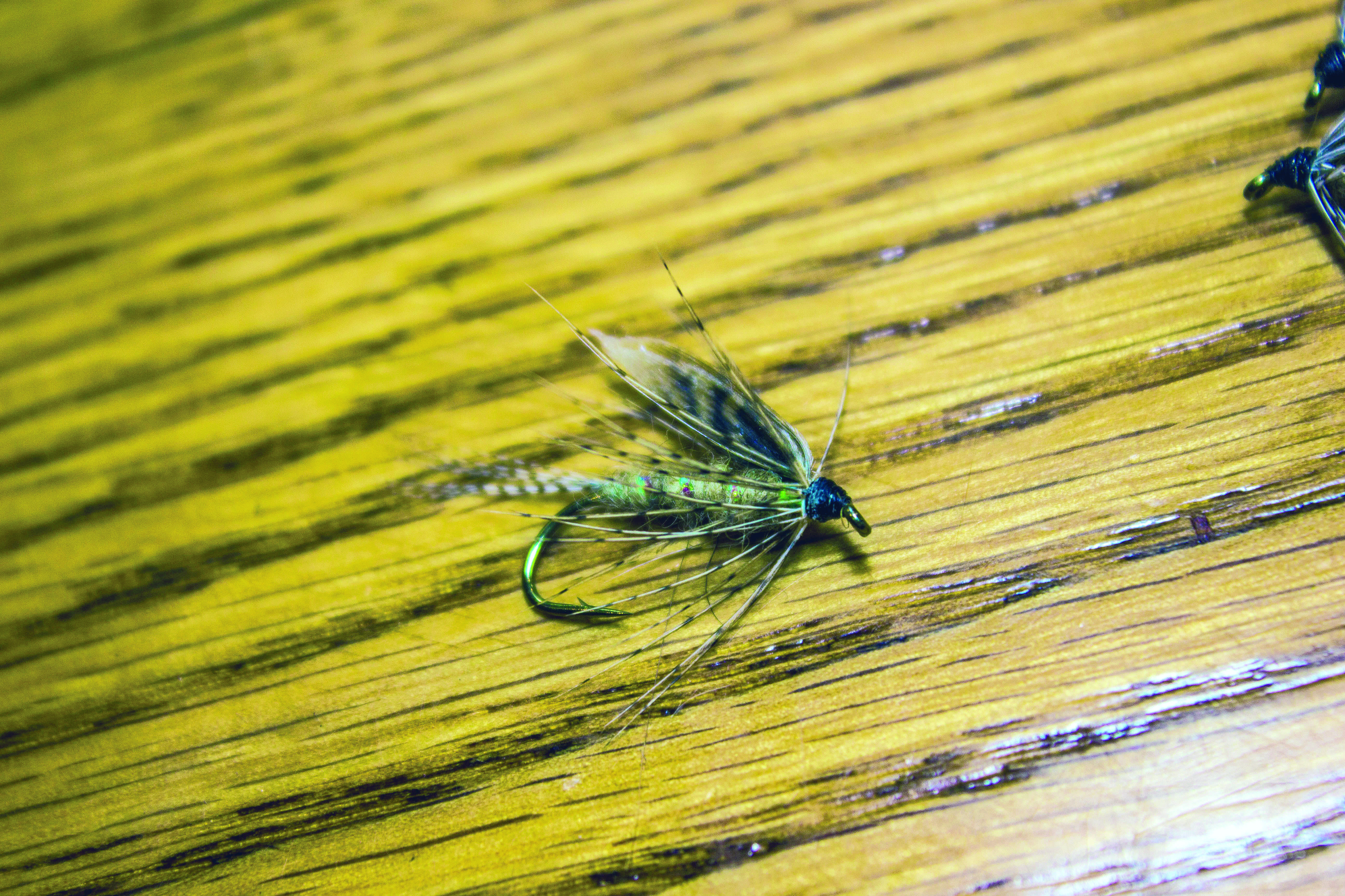 Antonio's Emerger Fly | Trident Fly Fishing, image size:5184x3456