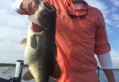 Mike Pudii, 10.187-lbs, Lake Okeechobee