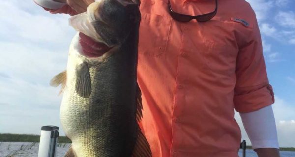 Mike Pudii, 10.187-lbs, Lake Okeechobee