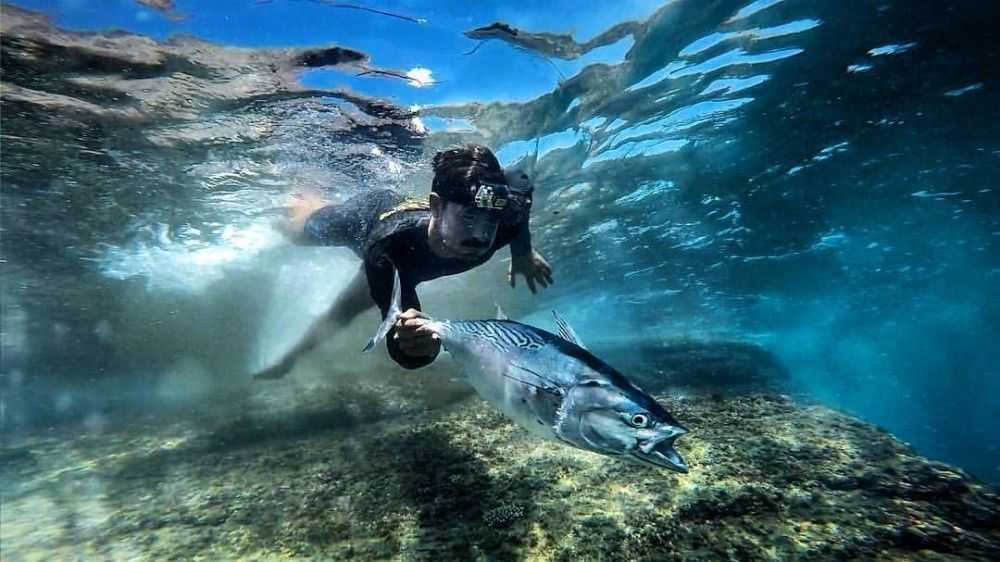 Morning Tide Fishing