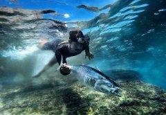 Morning Tide Fishing