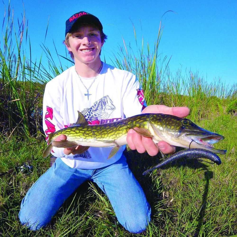 Florida s Chain Pickerel Coastal Angler The Angler Magazine