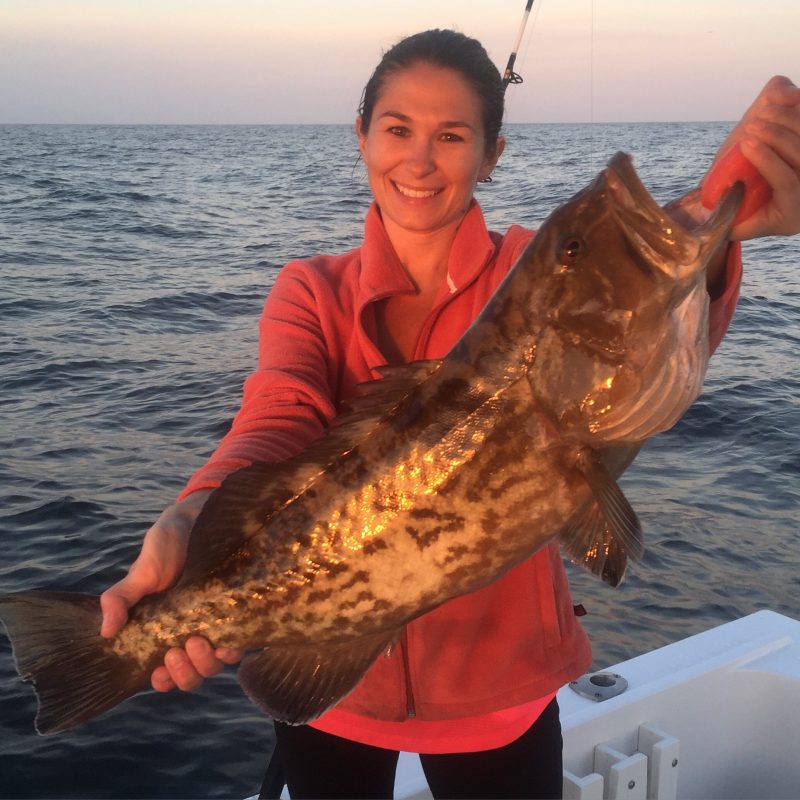 Gag grouper - Coastal Angler & The Angler Magazine