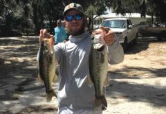 Ronnie Westcott, Lake Reedy