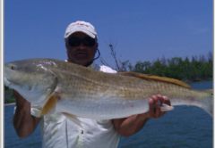 Coastal-Angler-Magazine-Brevard-Sebastian-Forecast