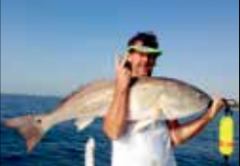 Coastal Angler Brevard Port Canaveral Forecast May 2016