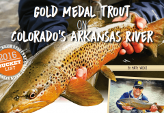 Gold Medal Trout On Colorado Arkansas River