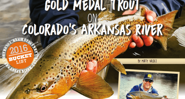 Gold Medal Trout On Colorado Arkansas River