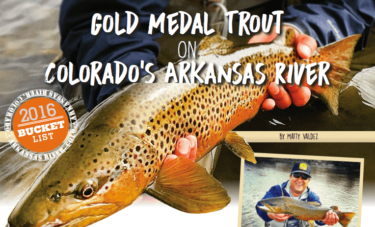 Gold Medal Trout On Colorado Arkansas River