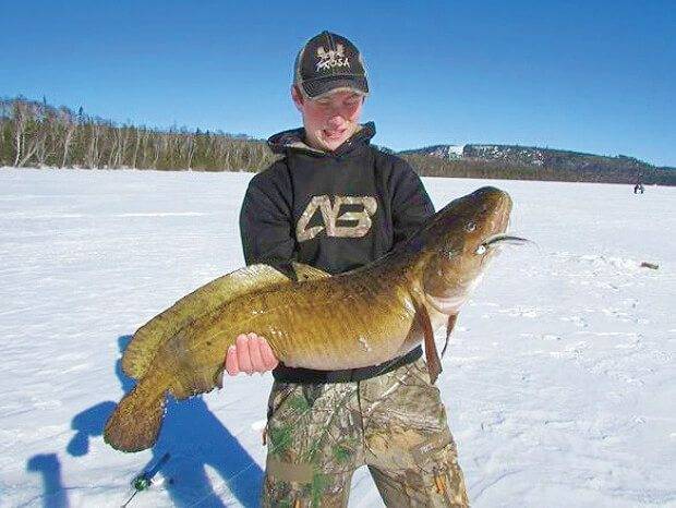 Freshwater Cod Ontario Record