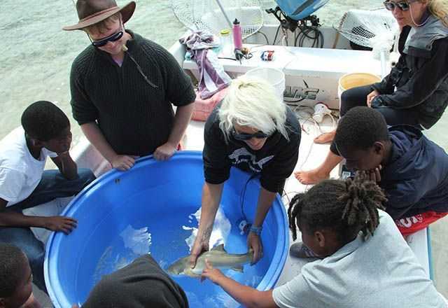 Students getting to touch a juvenile lemon shark. PHOTO CREDIT: Charlotte Sams.