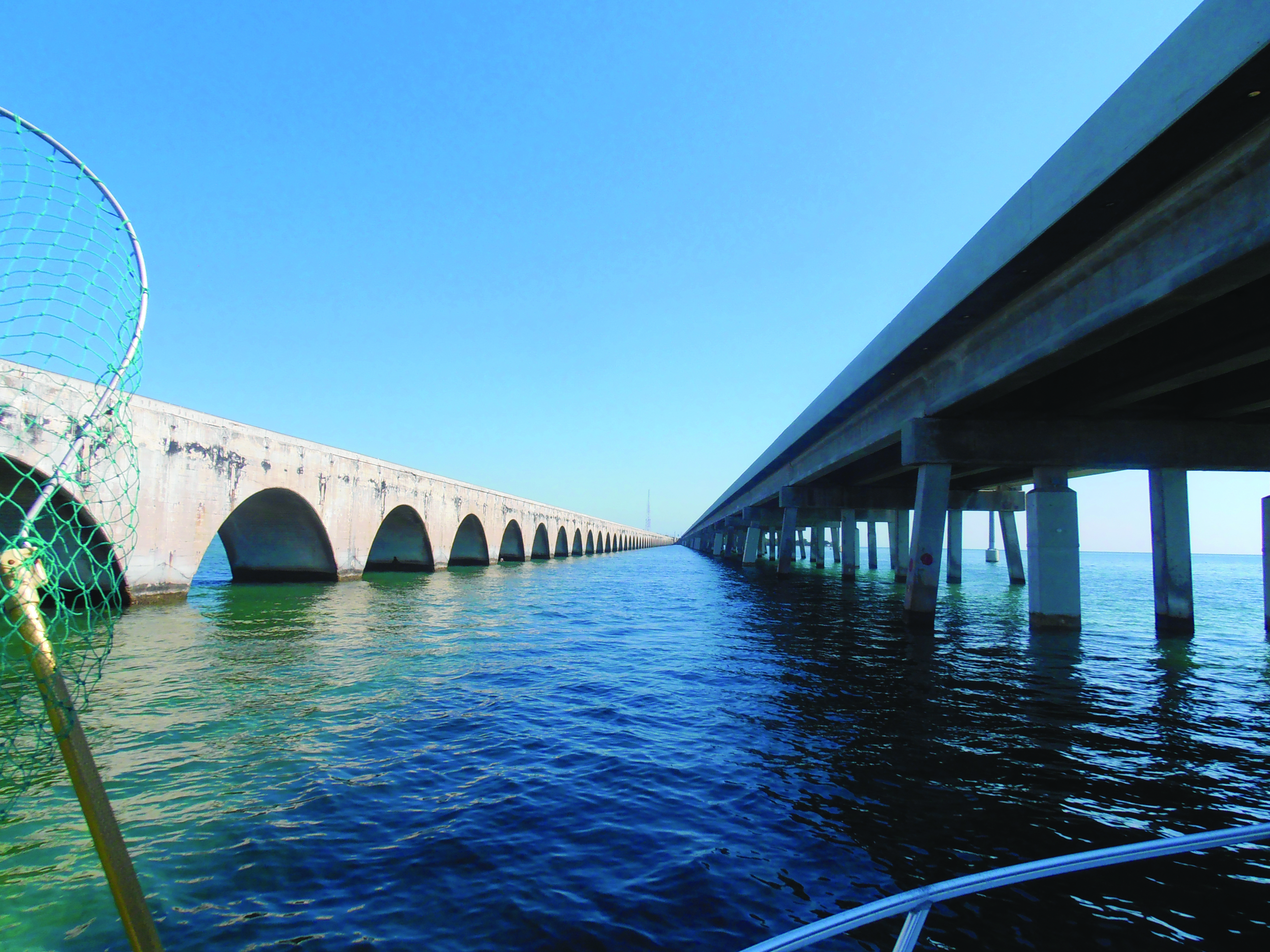 Tarpon Fishing