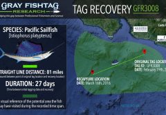 Gray FishTag Research