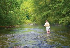 Trout Streams