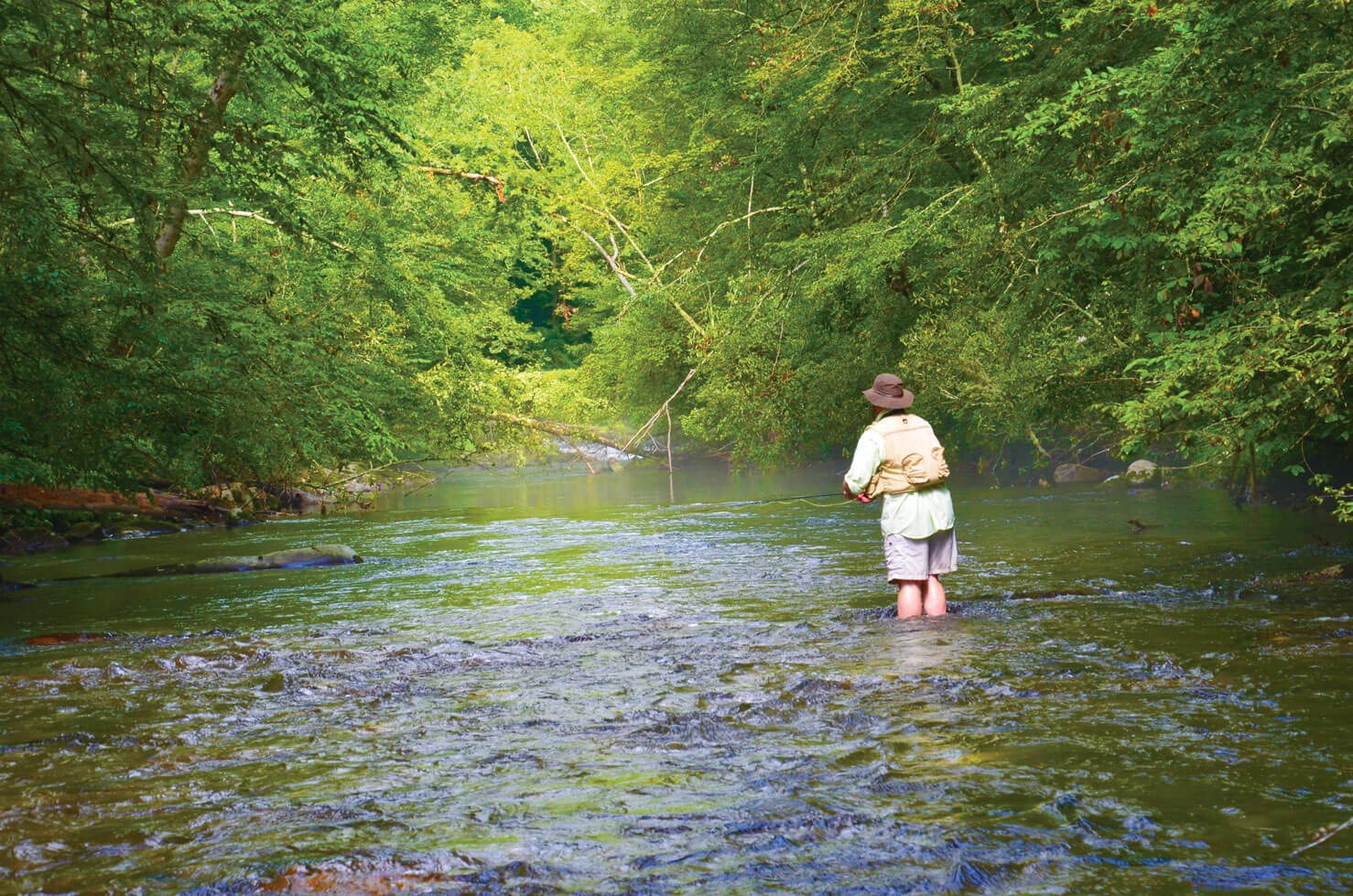 Fly Fishing Trail Map  River and Stream Access Points