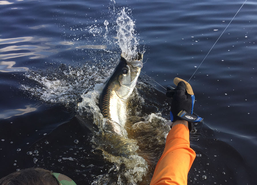 PEACE RIVER – PORT CHARLOTTE FISHING REPORT: July 2016 ...