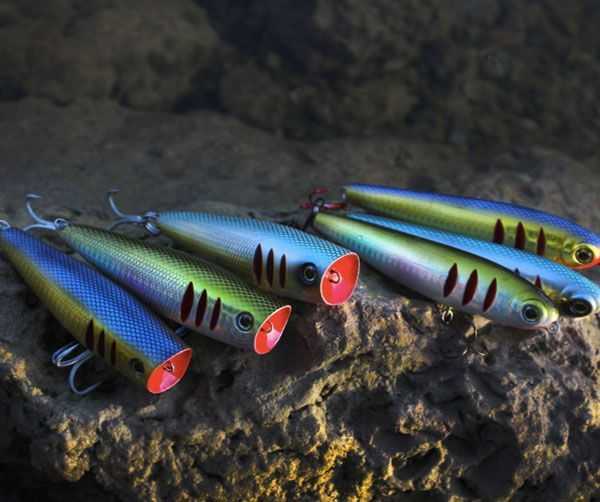 The Best Crossover Lures For Fresh & Salt Water!