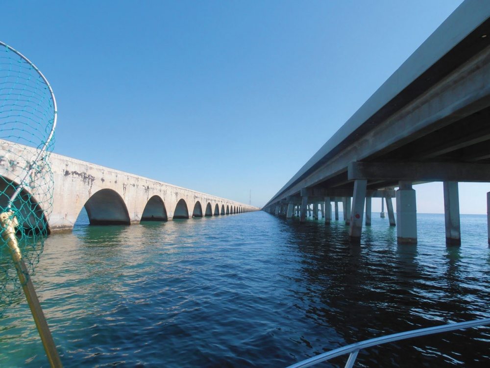 Tarpon Fishing