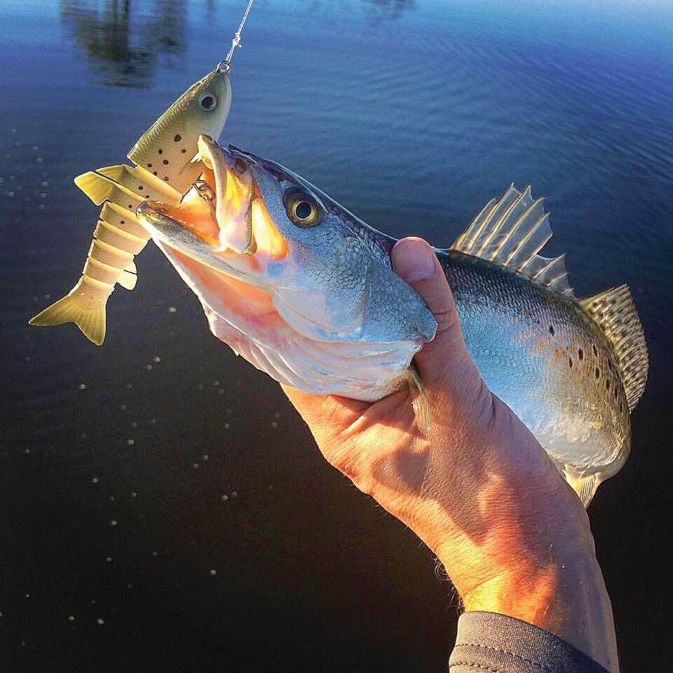 Egret Baits Vudu Mullet Swimbait - Angler's Headquarters