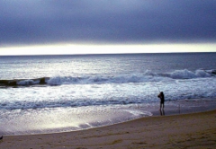 Brevard Surf Fishing J And H Surf Fishing