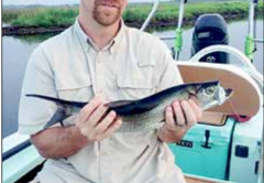 Coastal Angler Brevard Mosquito Lagoon June 2016