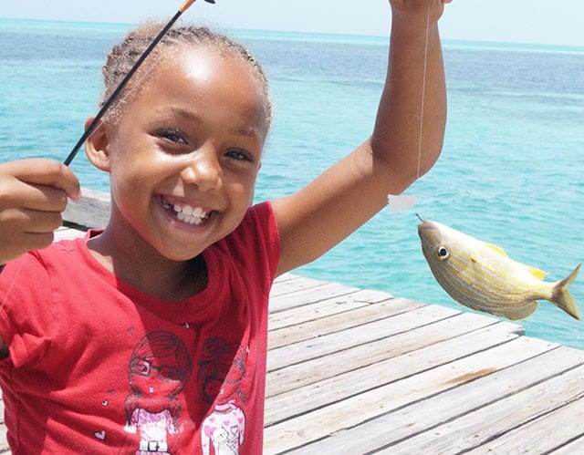 Bahamas Fishing Regulations, Bag Limits, Exporting Seafood