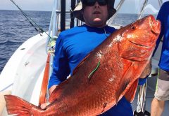 Herradura Fishing Forecast