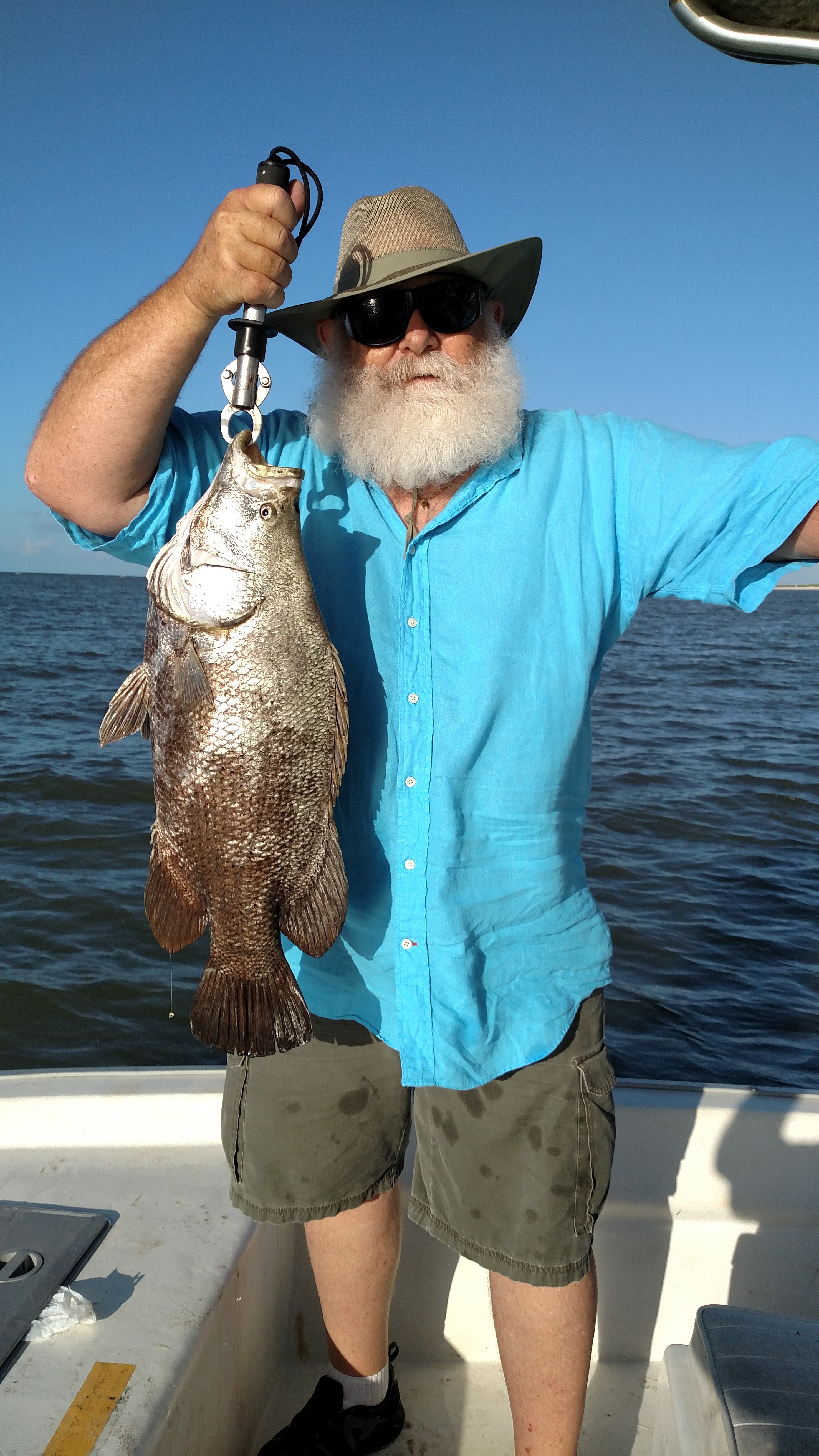 10 lbs.tripletail Indian Pass FL. - Coastal Angler & The Angler Magazine