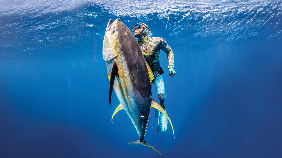 Monster Bluefish Breaks Decades-Old Record - Coastal Angler & The