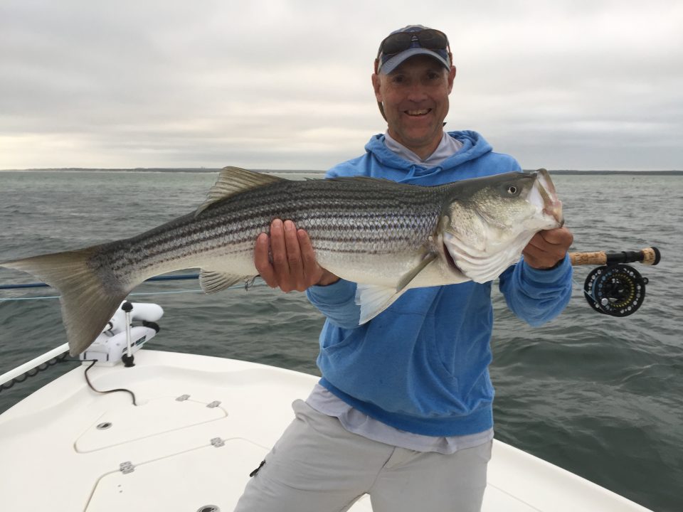 Home Cape Cod Fly Fishing Charters - Salty Fly Cape Cod