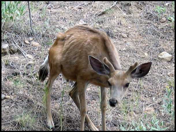 “cwd” -- what is it and why should i care? coastal