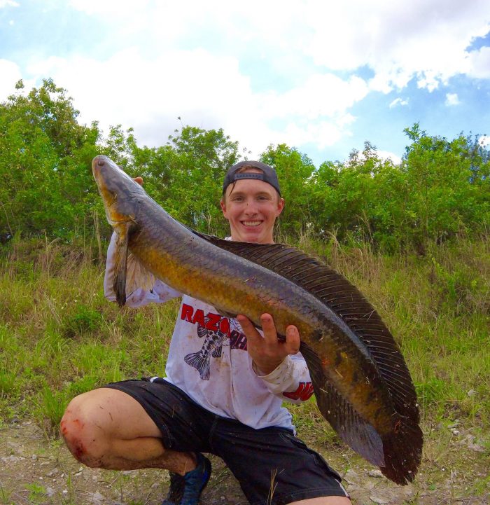 Brandons Bullseye Snakehead  Coastal Angler  The Angler Magazine