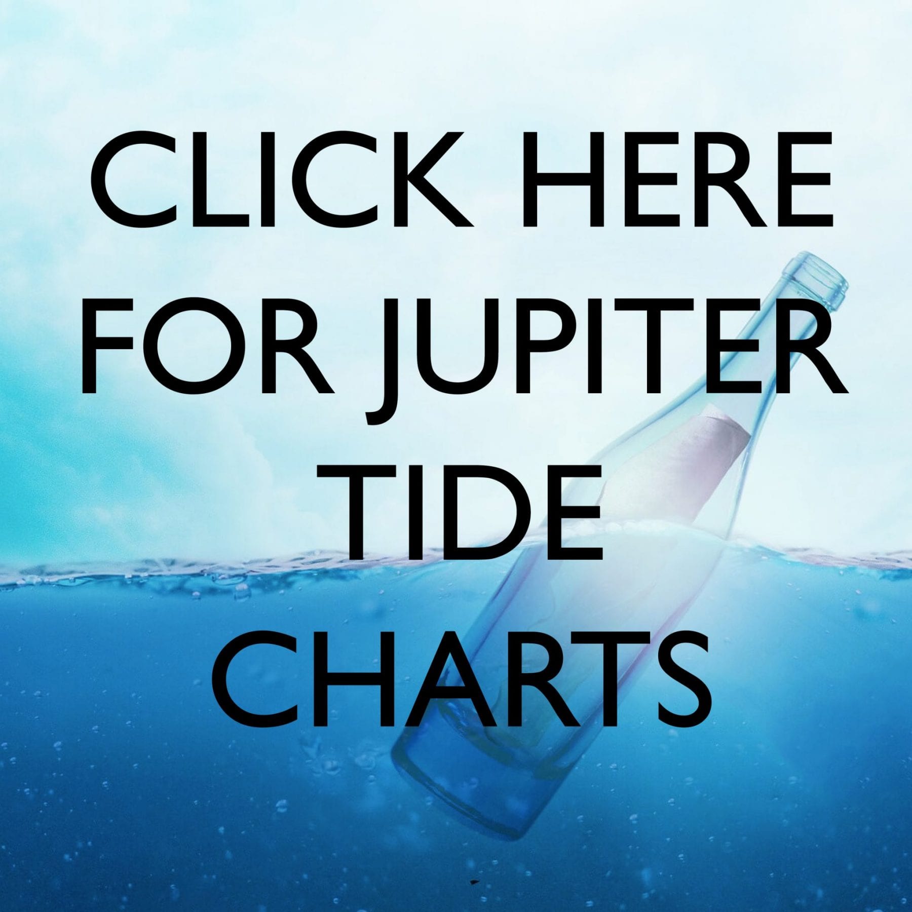 Jupiter Tide Chart