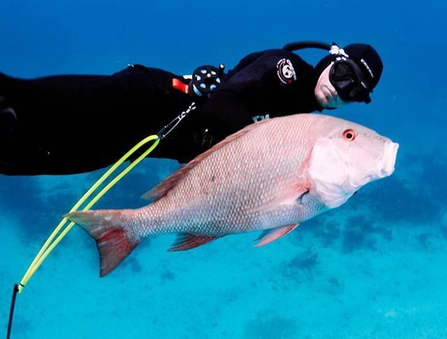 The spearfishing around Long Island is great year-round. PHOTO CREDIT: Reel Addictive Charters.