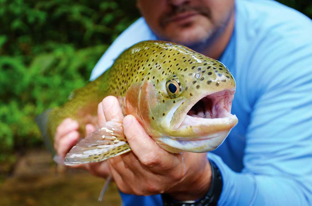 Cherokee, N.C. Fly Fishing Tournament - Oct. 28-30 | Coastal Angler & The Angler Magazine