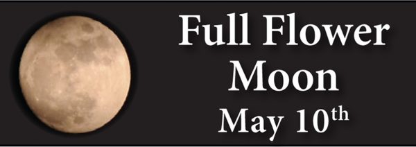 full flower moon full flower moon