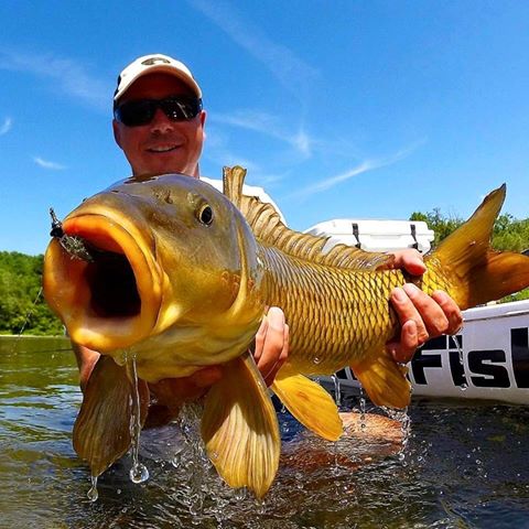 beau-thebault-with-an-awesome-carp-caught-on-the-fly-from-his-live-watersports-sup-1