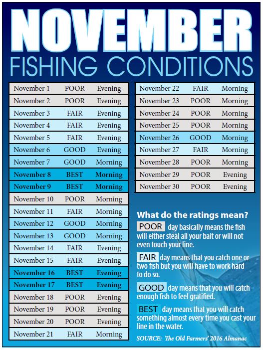 bestdaystofishnovember2016 Coastal Angler & The Angler Magazine