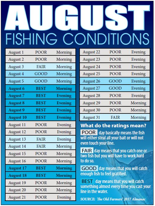 Treasure Coast Fishing Reports, Forecast, News Articles, Outdoors ...