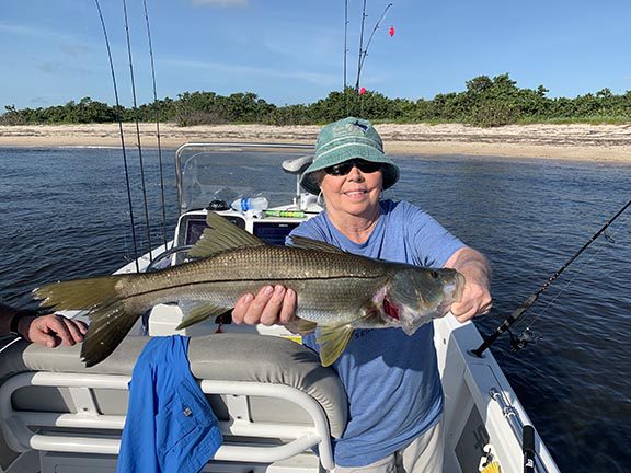 Bull Minnows, InShore