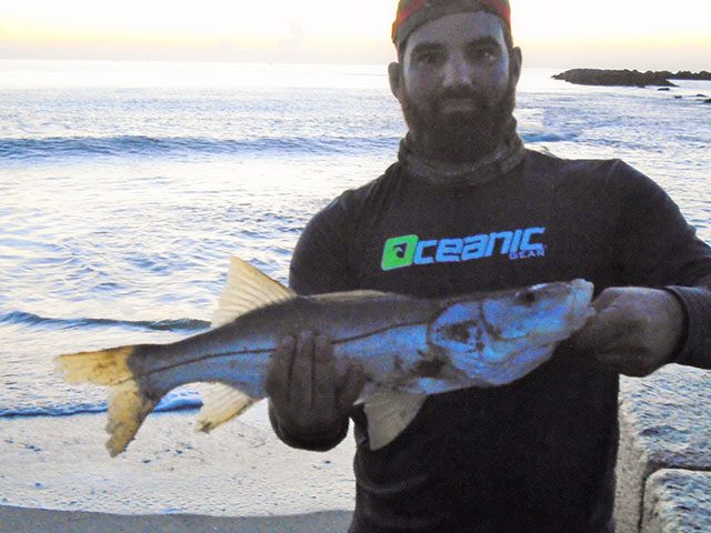 snook-from-the-shore-w-640x480