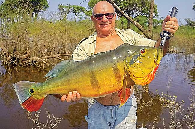 Brazil's Awesome Peacock Bass Fishing - Brazil Bass Fishing