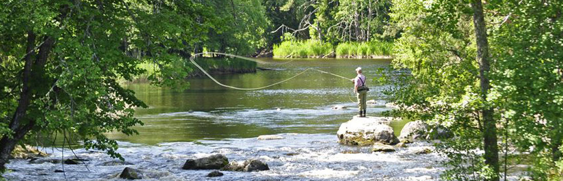 fly-fishing-20197106-banner